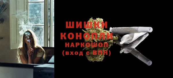гашик Аркадак
