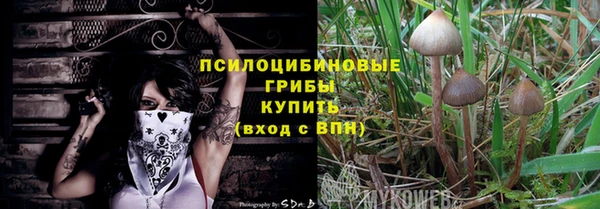 гашик Аркадак