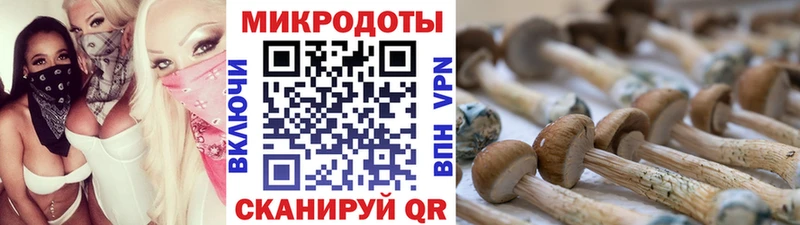 Псилоцибиновые грибы ЛСД Арзамас